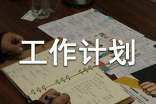 【必备】工作计划范文锦集5篇