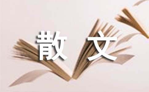 补丁与时尚散文随笔