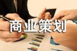 [精品]商业策划