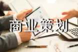 商业策划（精品）