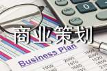 实用的商业策划（优秀）