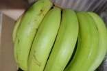 苦瓜和香蕉如何做