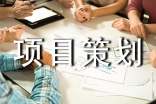 项目策划8篇[精选]