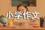 五7流行悠悠球小学作文