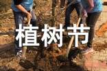 植树节领导演讲稿范文
