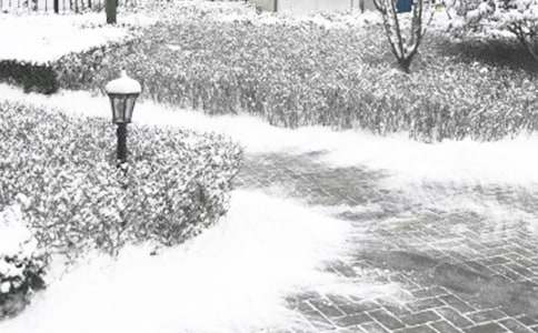 冬季流行病预防教案模板（通用5篇）