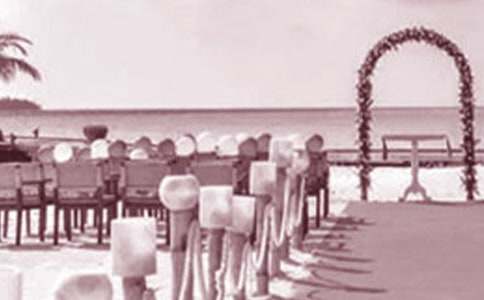 婚礼策划汇总(8篇)