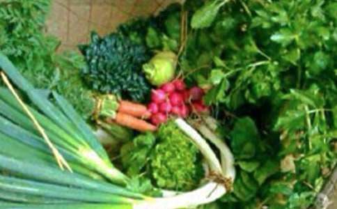 [经典]健康成长作文