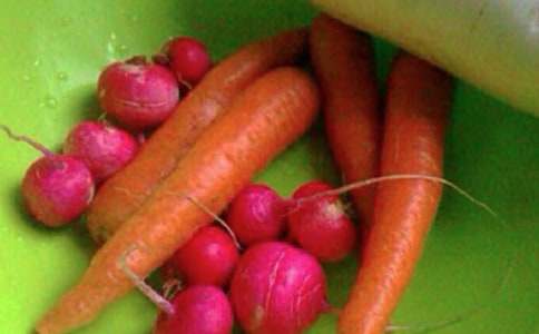 实用的健康的作文【锦集10篇】