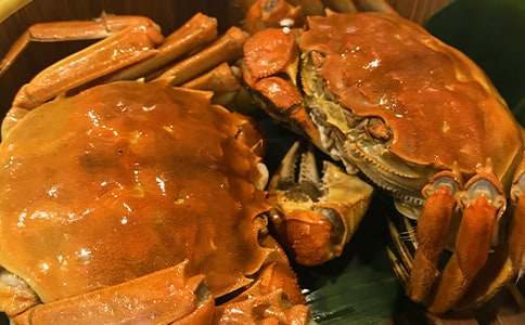 蚂蚁食物作文300字精品[7篇]