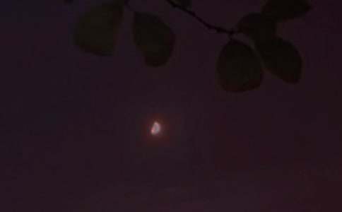 正能量的晚安语录集锦99句