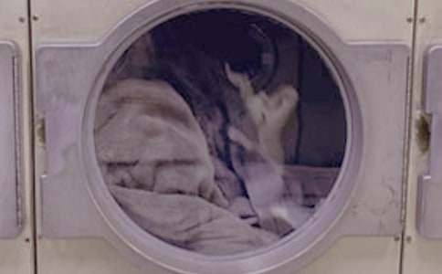 实用的洗衣服日记模板集锦六篇