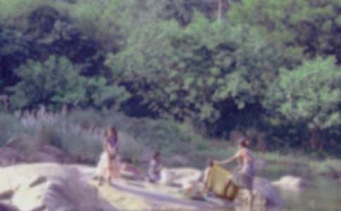 学会洗衣服日记