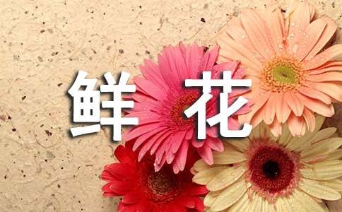 （优秀）梦见很多鲜花