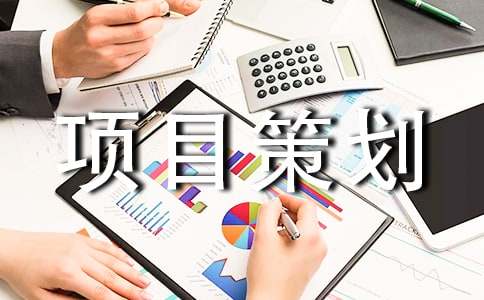 [实用]项目策划10篇