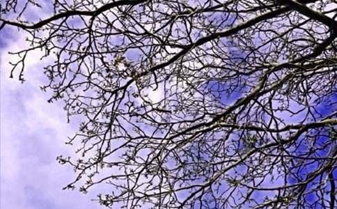 2025年经典生活早安心语QQ大合集62条