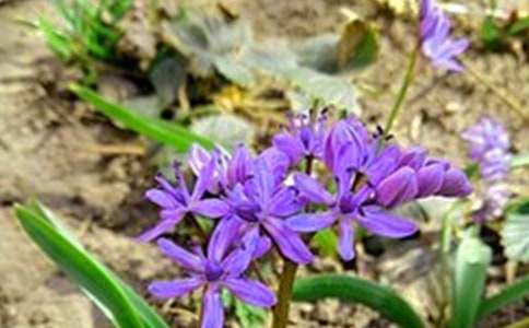 生活早安心语26条