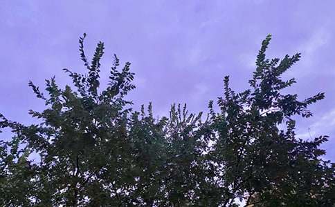 经典生活早安心语朋友圈汇编45条