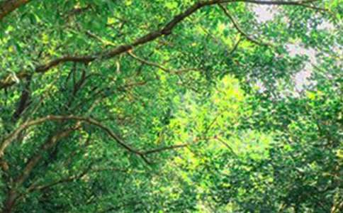 2026年精选生活早安心语QQ合集37句