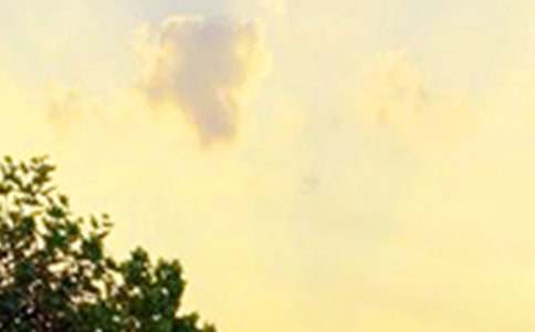 【必备】2026年生活早安心语朋友圈58句