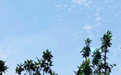 简洁的生活早安心语QQ38条