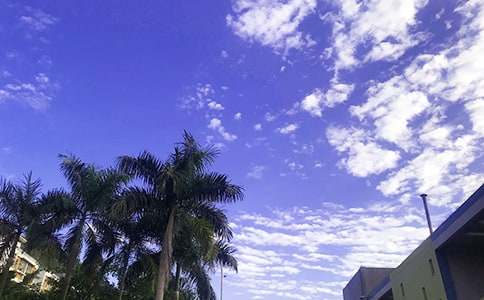 简洁的生活早安心语短信25句