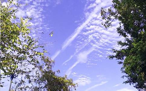 2025年常用生活早安心语大集合62句