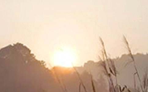 【实用】2026年生活早安心语QQ摘录36句