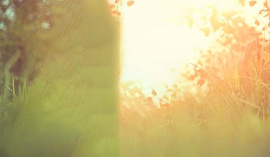 常用生活唯美签名70句